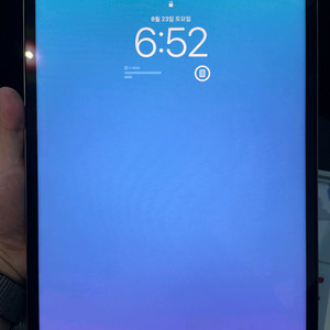 아이패드프로 12.9 m2 256GB wi-fi