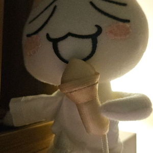 도코데모잇쇼 토로 인형 정리