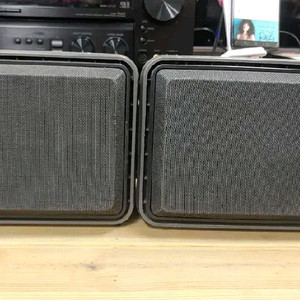 BOSE video Roommate 액티브 스피커