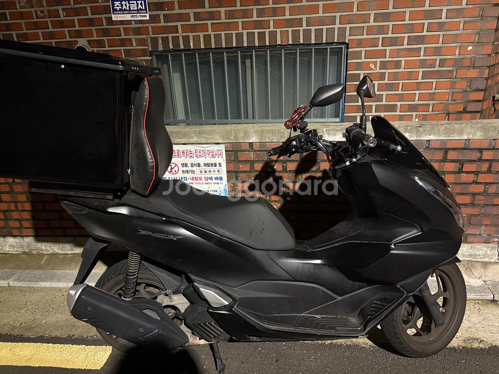 Pcx 125--1