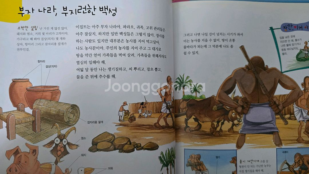 글뿌리 세계사 전 49권--4