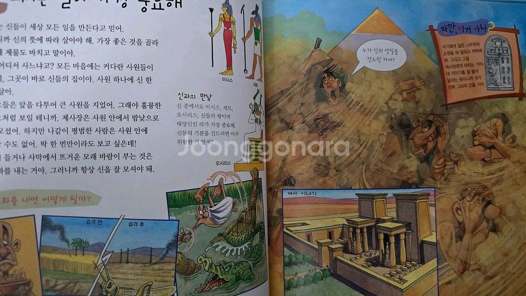 글뿌리 세계사 전 49권--7