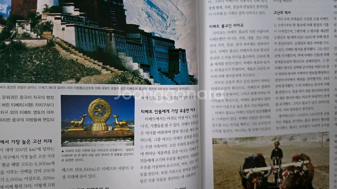 교원 월드인포 23권--4