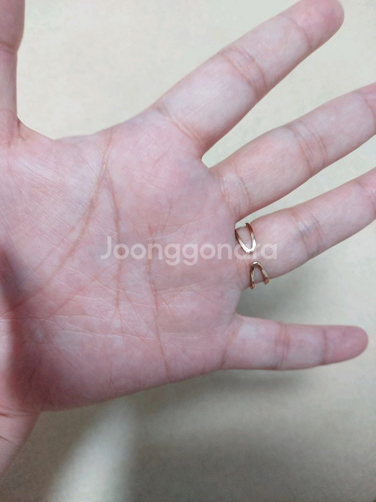 클라인 반지 (조절)--3