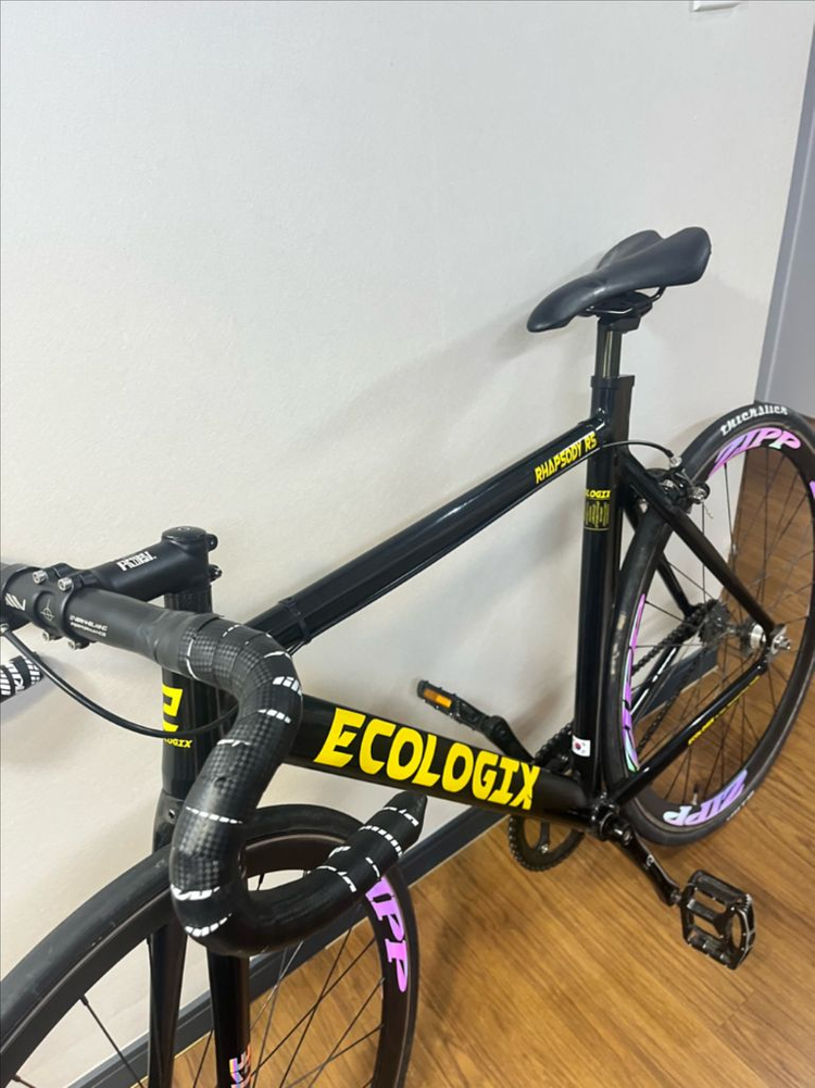 에콜로직스랩소디r5 이미지