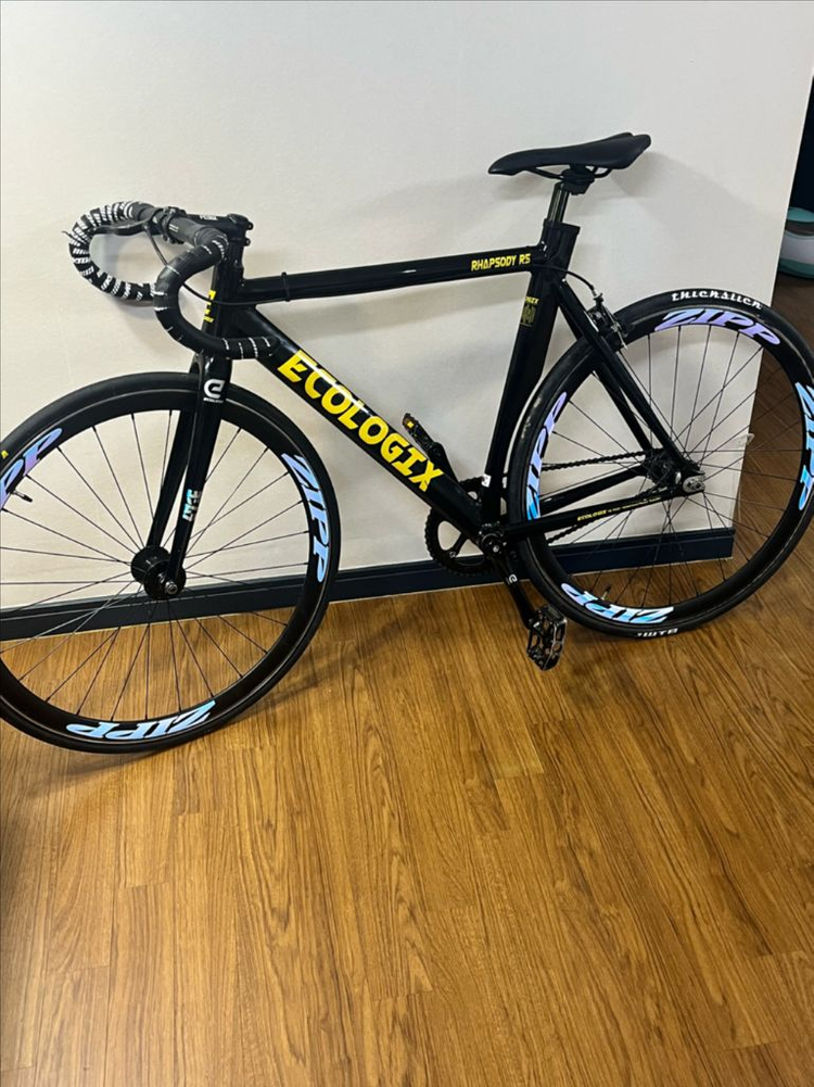 에콜로직스랩소디r5 이미지