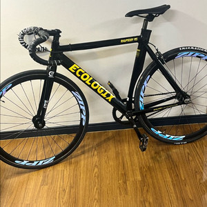 에콜로직스랩소디r5