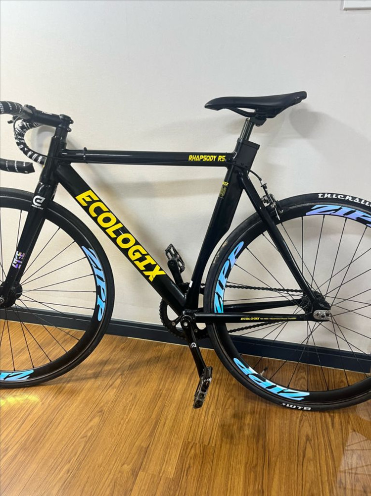 에콜로직스랩소디r5 이미지