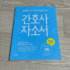 [ 간호사 자소서 ] 홍지문 파랑이
