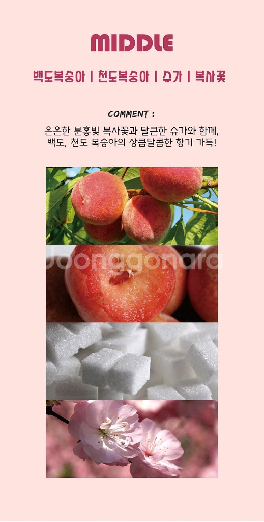 네이처퓸 리얼 복숭아 향수 오드퍼퓸--3