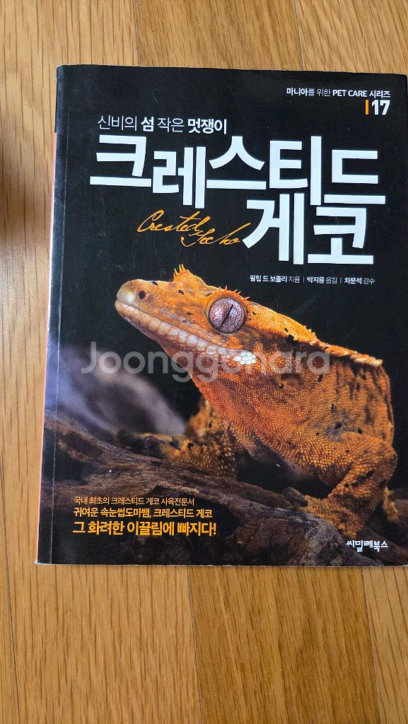 크레스티드 게코(5000원)--0