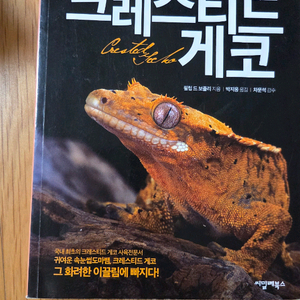 크레스티드 게코(5000원)