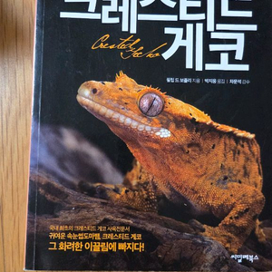 크레스티드 게코(5000원)