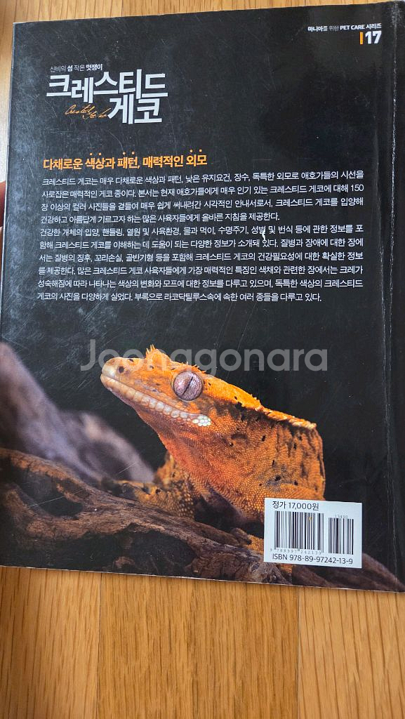 크레스티드 게코(5000원)--1