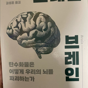 그레인 브레인(도서)