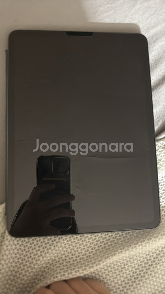 아이패드프로 11 1세대 256g WiFi--3