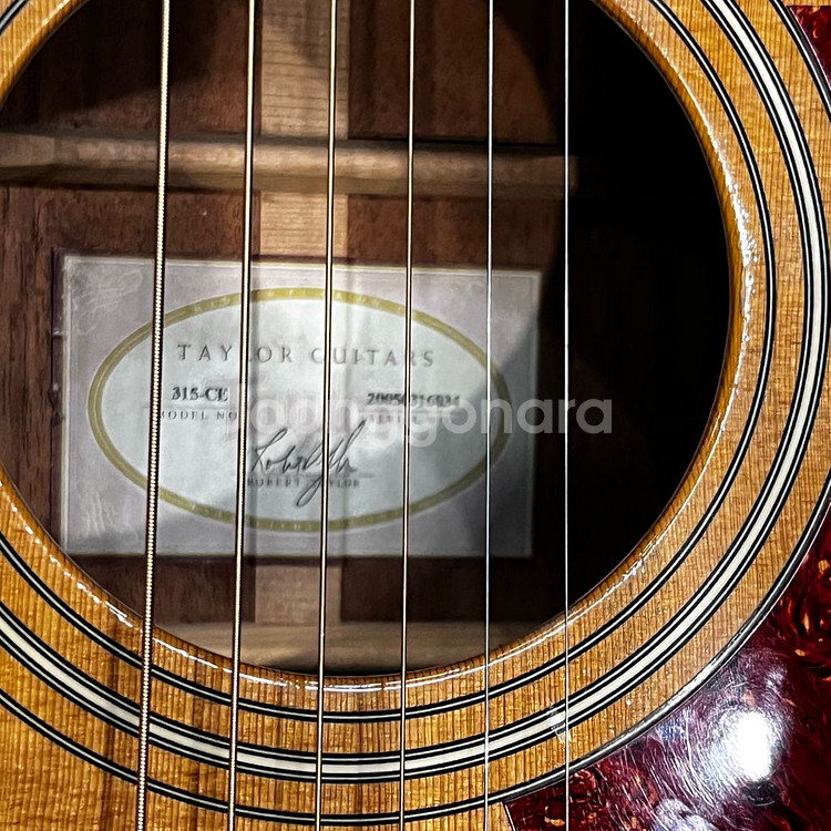 테일러 315-CE / TAYLOR 315-ce--3