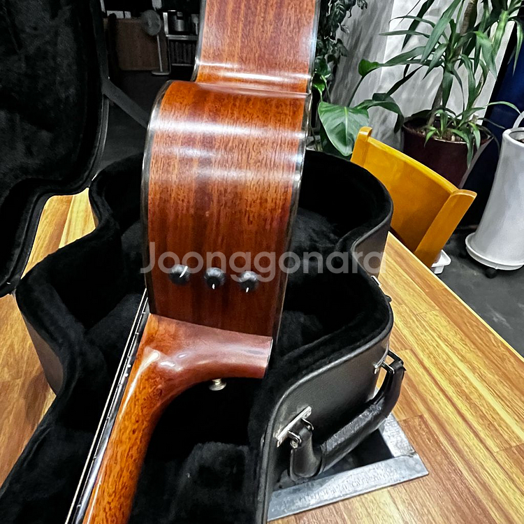 테일러 315-CE / TAYLOR 315-ce--7