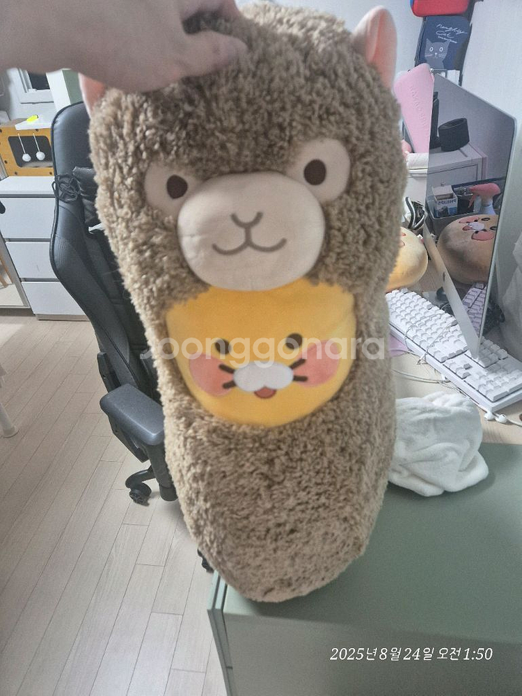 귀여운 라이언 알파카 인형--0
