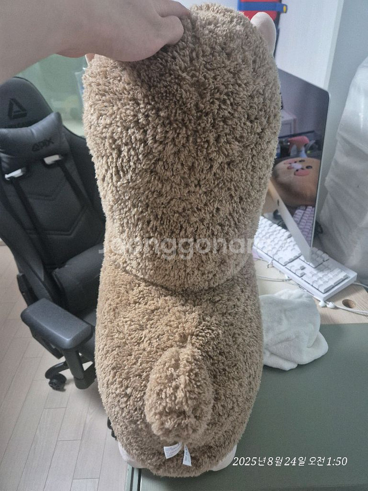 귀여운 라이언 알파카 인형--2