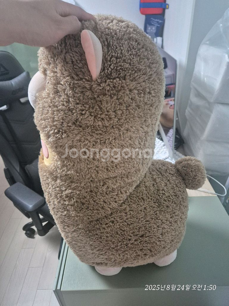 귀여운 라이언 알파카 인형--1