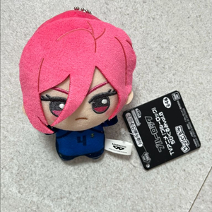 블루록 치기리 효마 치비누이 치비구루미 인형 양도 이미지