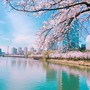 5천원 문화상품권 편의점 쿠폰 가져가세유