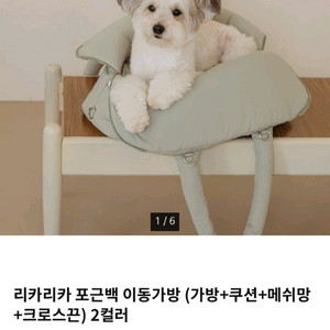 리카리카 포근백 이동기방