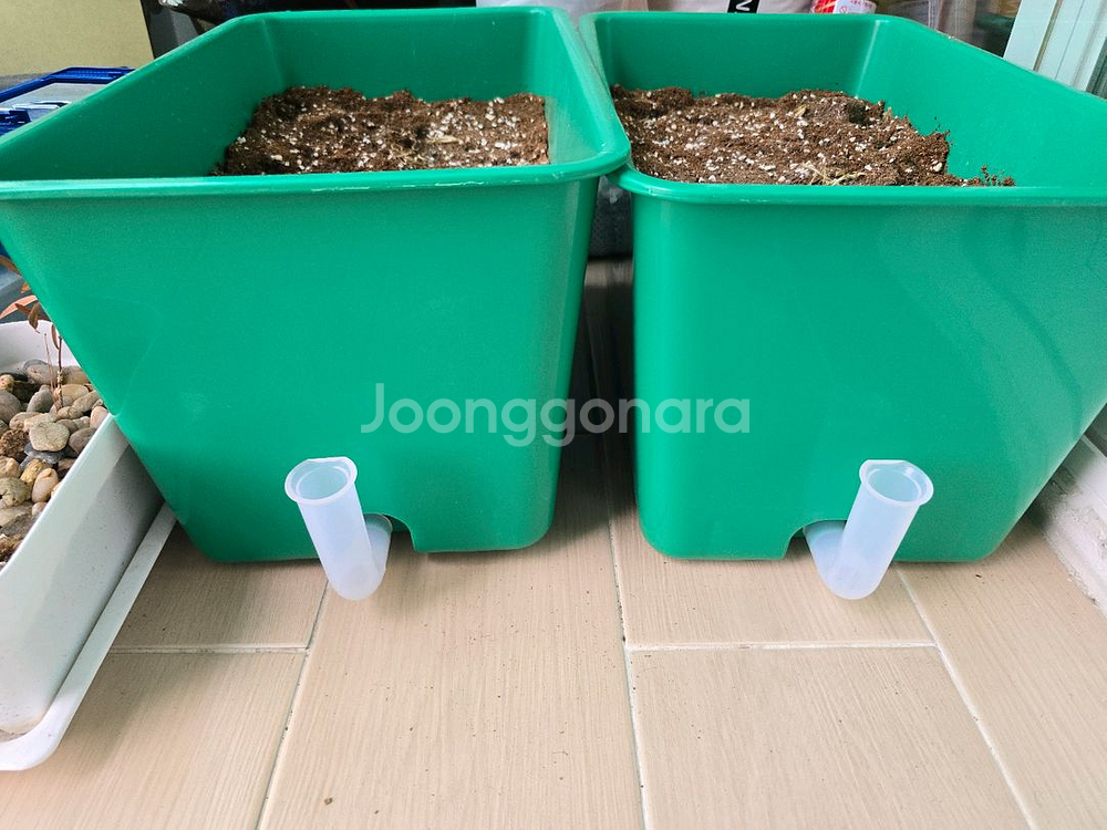 (무료나눔) 상추 키우기 세트 직접 오세요--1
