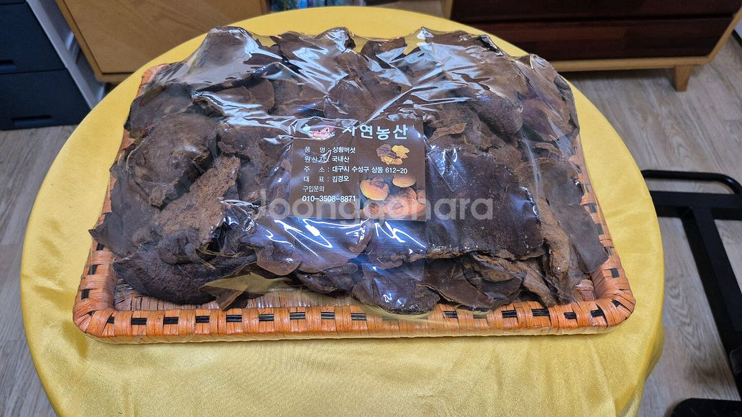 자연산 최고급 상황버섯--0