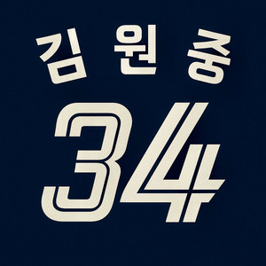 [105] 롯데 23시즌 공군 프로페셔널 유니폼 김원중