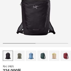 아크테릭스 헬리아드15 백팩 블랙