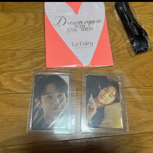 정해인 Le Fairy 굿즈 모음