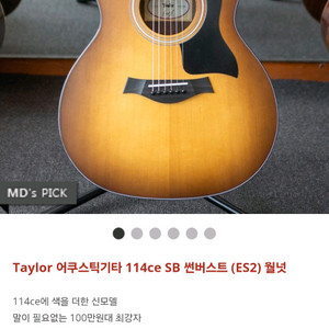 테일러 114ce-sb