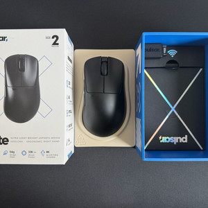 펄사 xlite v4 medium 펄브사 미디움