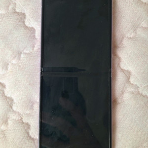 갤럭시 플립3 5G 256GB