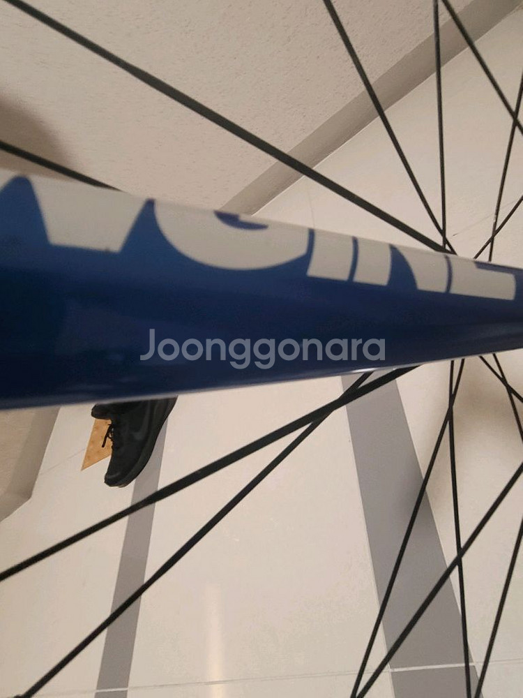 엔진11 볼텍스 2023년식--7