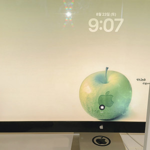 애플 썬더볼트 디스플레이& 맥미니m4 2tb