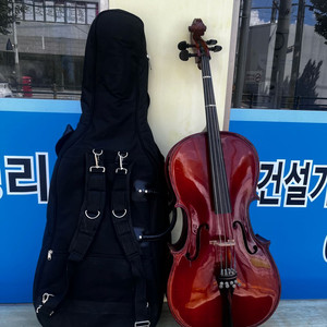 파가니니 첼로 VCp-100호 1/2