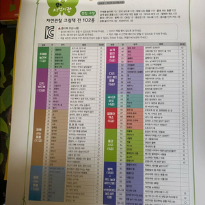 아람 자연이랑 전집
