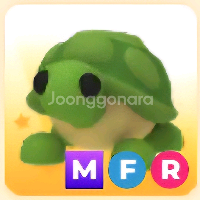 입양하세요 MFR 거북 (메거북)--0