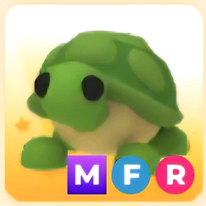 입양하세요 MFR 거북 (메거북)
