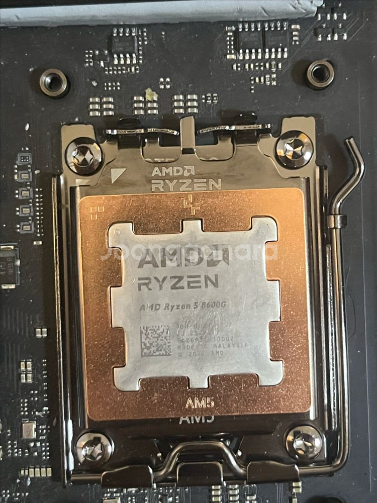 ryzen 5 8600g--0