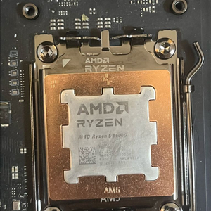 ryzen 5 8600g