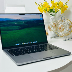 맥북 프로 14 m2 pro 2tb