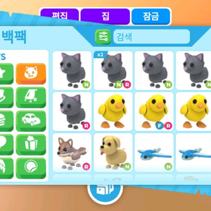입양하세요 펫 팝니다
