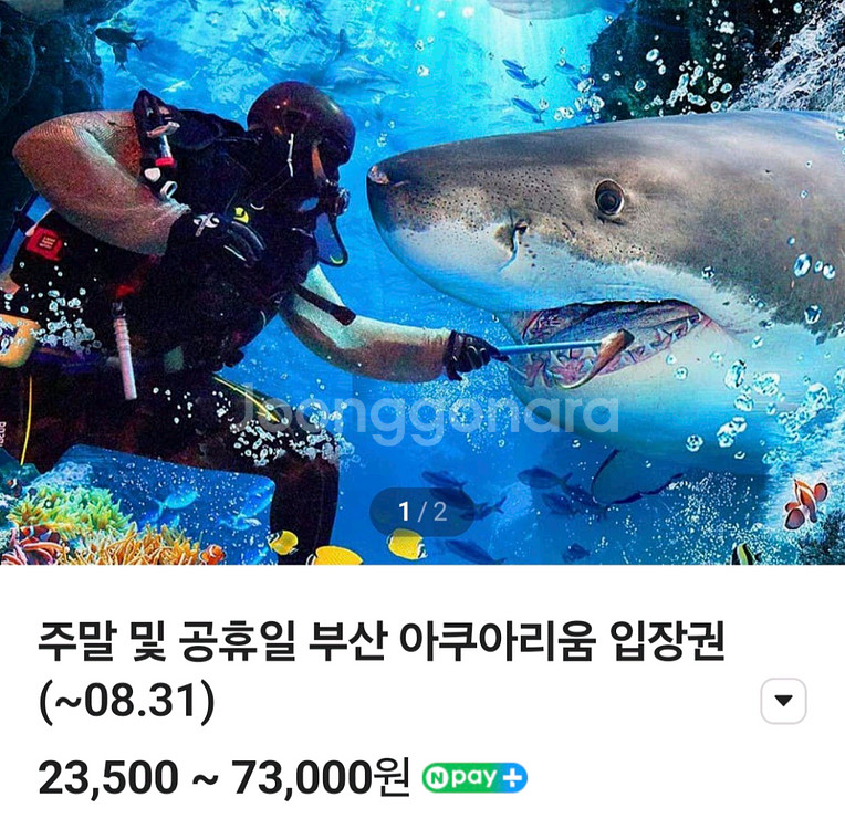 부산 아쿠아리움 입장권--0