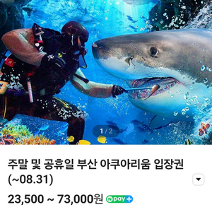 부산 아쿠아리움 입장권