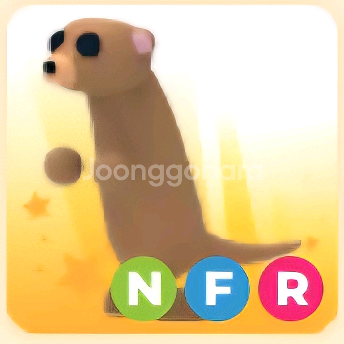 입양하세요 NFR 미어캣 (네미어캣)--0
