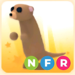 입양하세요 NFR 미어캣 (네미어캣)